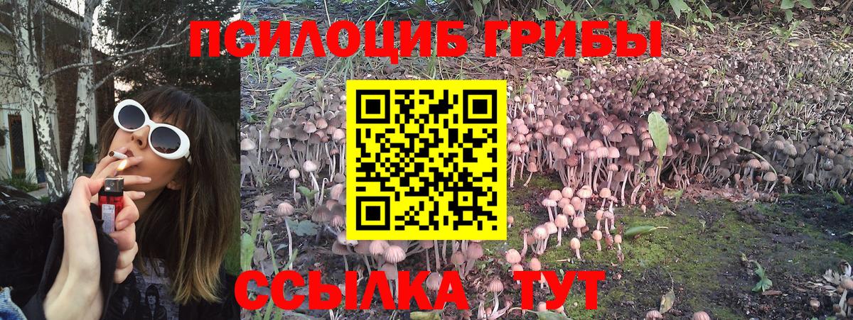 Псилоцибиновые грибы MAGIC MUSHROOMS Егорьевск