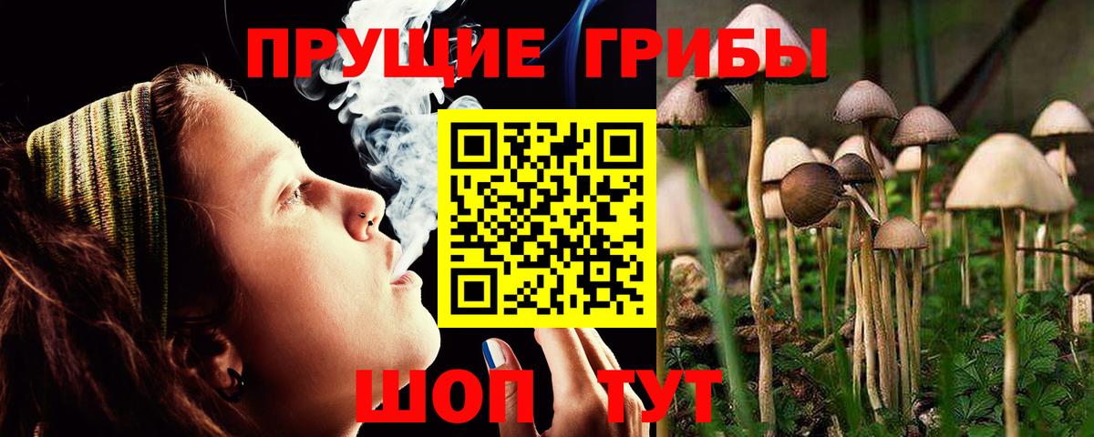Псилоцибиновые грибы мухоморы  Вход с VPN  продажа наркотиков  Егорьевск 